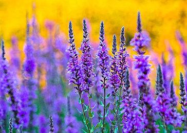 悬疑互动影像作品《飞越13号房》上线Steam 今年Q3发售